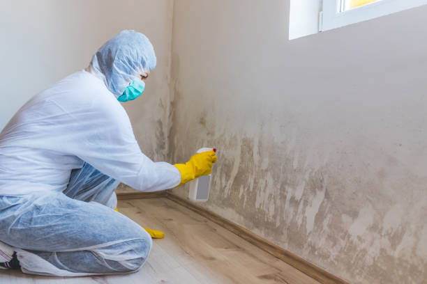 Mold Remediation specialist working in Perryville