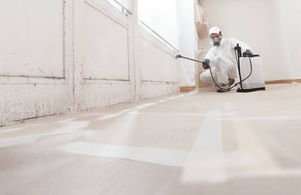 Black mold remediation team in Perryville